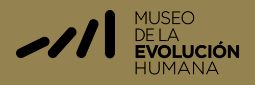 Logo van het Museum van Menselijke Evolutie